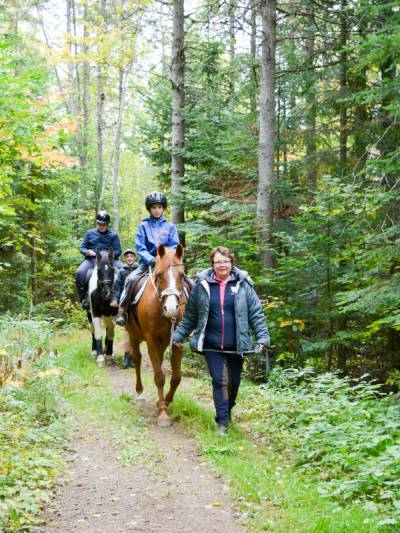 HEALING WITH HORSES