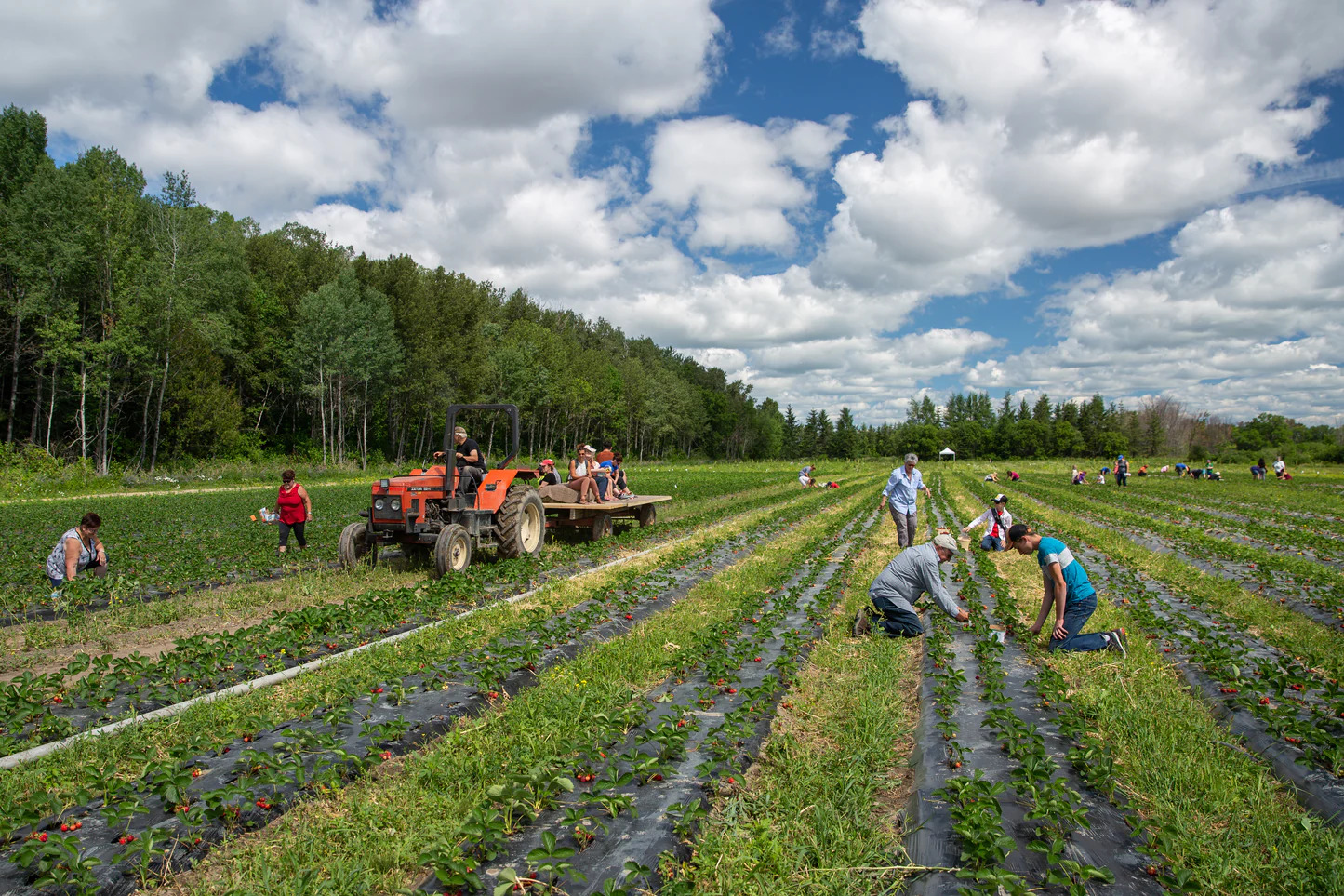SADC d’Abitibi-Ouest